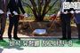비석 유형별 참고사진-8<br/><font style=font-size:16px;color:#6e7f91>모델명:JMS-408</font>