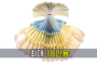 (흰색) 펄삼색 커팅테이프<br/>[최대 18인용]<br/><font style=font-size:16px;color:#6e7f91>모델명:CT-901</font>