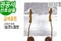 비석형 제막천-01 <br/> [실크느낌천+금색로프]<br/><font style=font-size:16px;color:#6e7f91>모델명:JM-401</font>