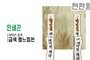 현판형 제막천-12 <br/> [금색 펄느낌천+인쇄끈]<br/><font style=font-size:16px;color:#6e7f91>모델명:JM-112</font>